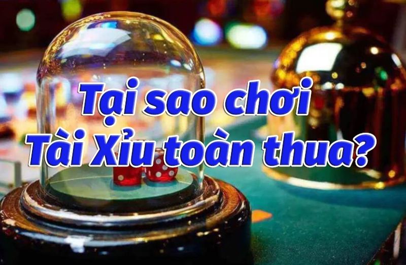 Những giải đáp về lý do tại sao chơi tài xỉu online toàn thua của EE88